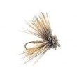 Fat Head Moth