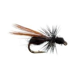 Flying Ant Black