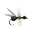 Flying Ant
