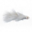 MD White