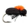 Foam Beetle