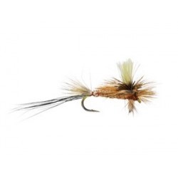 Alexs Glo Drake Spinner White
