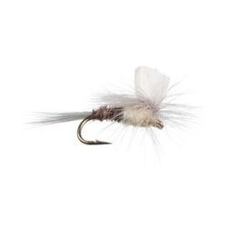 Foam Wing PMD Parachute