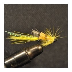 Ally's Yellow