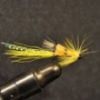 Ally's Yellow