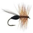 FPL Black Ant