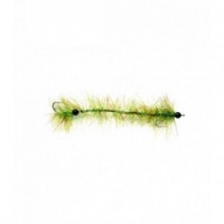 Cactus Worm Olive