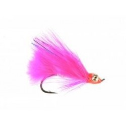 Coho Comet