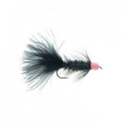 egg sucking leech black