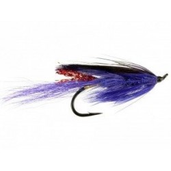 General Practitioner Purple
