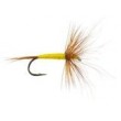 FPL CDC Yellow