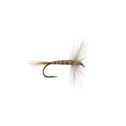 FPL Grey Ribbed