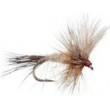 Ausable Wulff