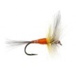 FPL Orange Winged
