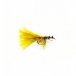 Nymph Olive (JW)