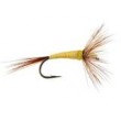 FPL Pale Yellow