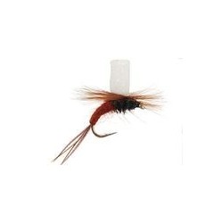 FT Klinkhammer Brown