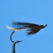 Silver Tail