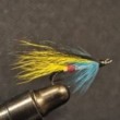 Silver Williamson