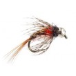 Ales TG Brown Allstars Nymph