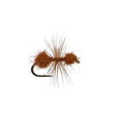 Fur Ant Cinnamon