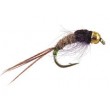 Ales TG Green Tailed Friend