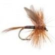 Ginger Quill