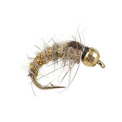 Gold Ribbed Hares Ear TG
