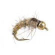 Gold Ribbed Hares Ear TG