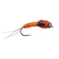 Ivans TG Body Glass Orange 10