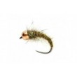 KJ Olive Grub TH