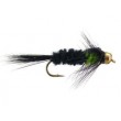 Montana Green TG