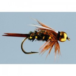 Prince Nymph  TNG