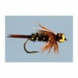 Prince Nymph  TNG