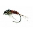 PTN Grub