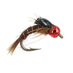 TG Beaver Hole Special  PMD