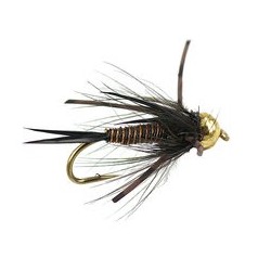 TG Black Prince