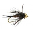 TG Black Prince