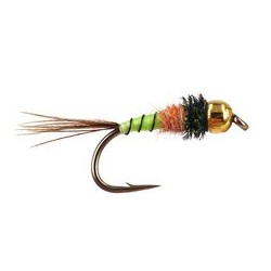 TG ConeHeadatreuse Nymph