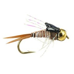 TG Epoxy Back Montana Flash
