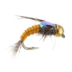 TG Golden Quill