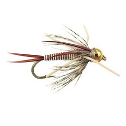 TG Montana Prince  Tan 10