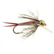 TG Montana Prince  Tan 10