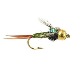TG Olive Coper