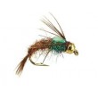 TG Pedros Catching Mayfly Nymph