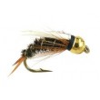 TG Special Prince Nymph