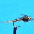 Tungsten Bead Head Copper John