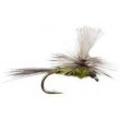 Gulpher Special Olive Parachute