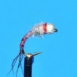 Tungsten Bead Head Rainbow Warrior