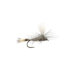Hares Ear Parachute